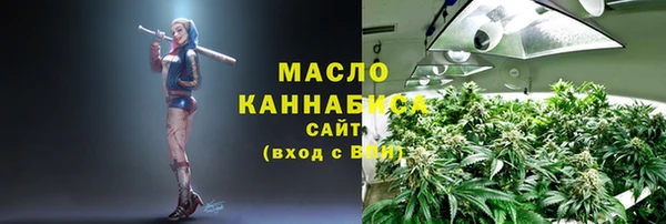 твердый Володарск