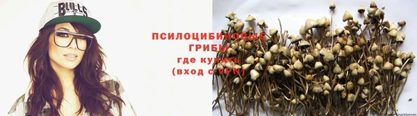 твердый Володарск