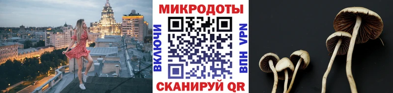 Купить  Малая Вишера  Псилоцибиновые грибы мухоморы 